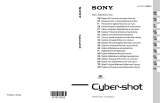 Sony Cyber-Shot DSC S2000 Užívateľská príručka