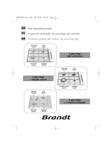 Groupe Brandt TE516XS1 Návod na obsluhu
