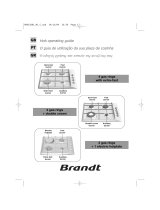 Brandt TE516XS1 Návod na obsluhu