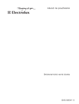 Electrolux EHS60041X Používateľská príručka