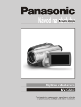 Panasonic NVGS80EP Návod na používanie