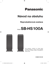 Panasonic SBHS100A Návod na používanie