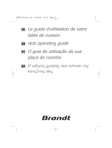 Brandt TE212XS1 Návod na obsluhu