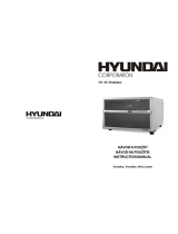Hyundai CV 23 Chateaux Instruction Manual And Technical Datas