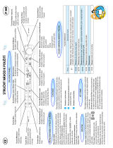 Whirlpool JT 369 SL Program Chart