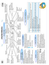 Whirlpool JT 366 SL Program Chart