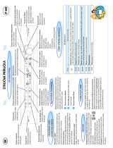 Whirlpool JT 369 SL Program Chart