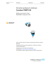 Endres+Hauser Cerabar PMP51B Short Instruction