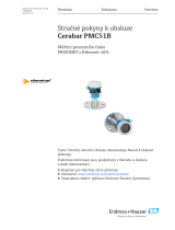 Endres+Hauser Cerabar PMC51B Short Instruction