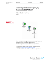 Endres+Hauser Micropilot FMR62B Short Instruction