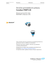 Endres+Hauser Cerabar PMP51B Short Instruction