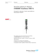 Endres+Hauser iTHERM TrustSens TM371 Short Instruction