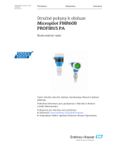 Endres+Hauser KA Micropilot FMR60B PROFIBUS PA Short Instruction