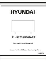 Hyundai FLJ42739GSMART Používateľská príručka