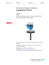 Endres+Hauser KA Liquiphant FTL62 Short Instruction