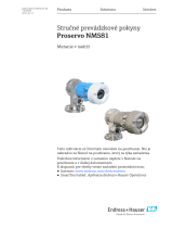 Endres+Hauser Proservo NMS81 Short Instruction